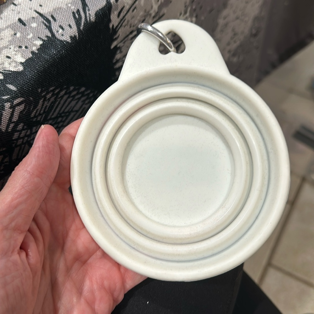 Rachel Ray Travel Water Bowl
